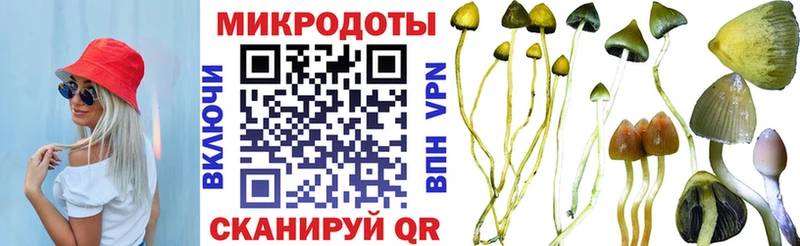 mega онион мориарти клад Псилоцибиновые грибы Magic Shrooms Электрогорск