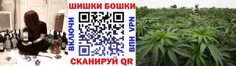 наркота  Электрогорск  Бошки Шишки LSD WEED 
